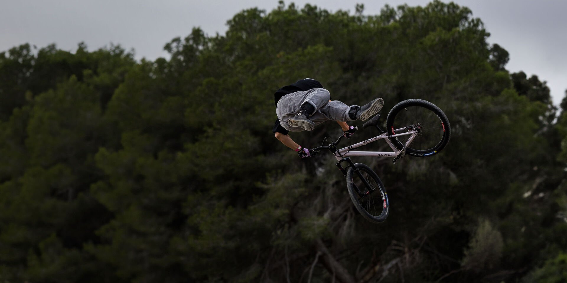 Canyon Dirt Jump/Street Bikes Canyon Dirt Jump/Street Bikes
